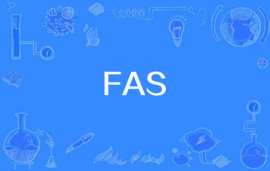 FAS（快速切换）