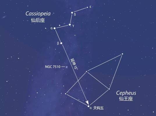 仙王座（拱极星座之一）