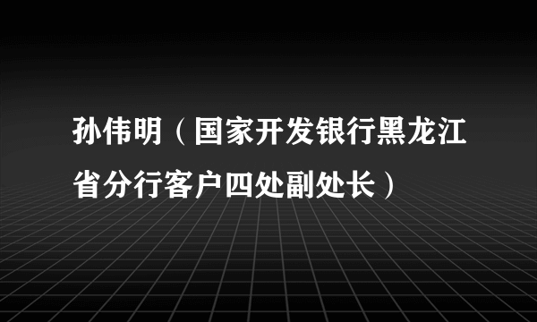 孙伟明（国家开发银行黑龙江省分行客户四处副处长）