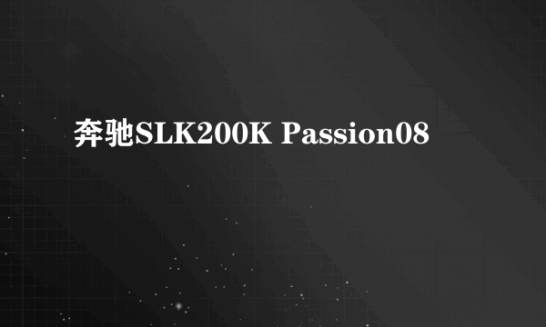 奔驰SLK200K Passion08