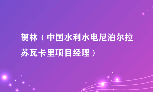 贺林（中国水利水电尼泊尔拉苏瓦卡里项目经理）